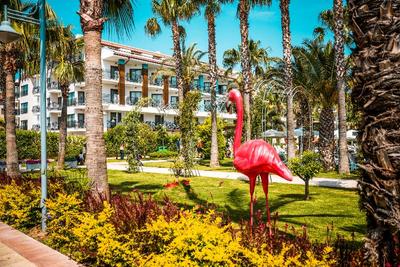 Belek Beach Resort