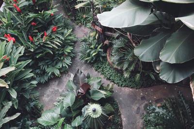 Shewe Wana Boutique Resort & Spa
