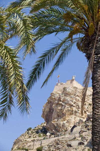 Dormirdcine Alicante