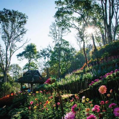 Doi Tung Lodge