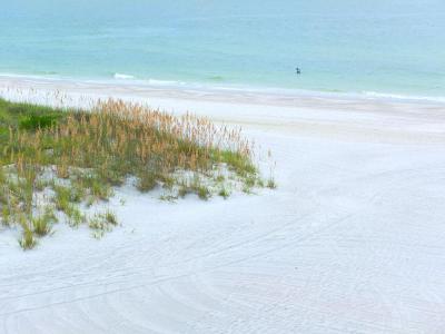 Barefoot Beach Club Hotel