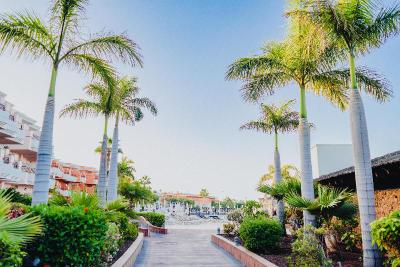 Landmar Costa Los Gigantes Family Resort