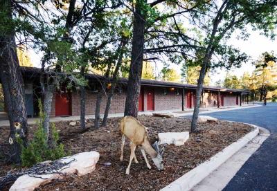 Yavapai Lodge