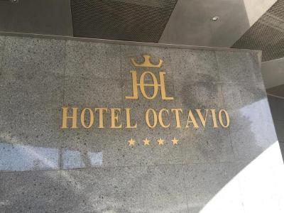Mir Octavio