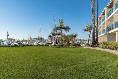 Marina Del Rey