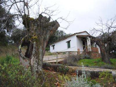 Finca Valbono