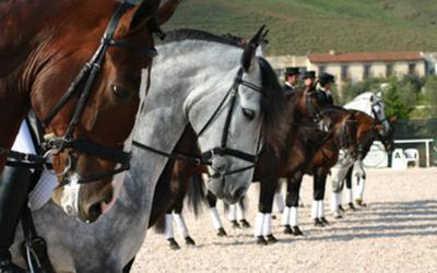 Villa Nazules Hipica & Spa