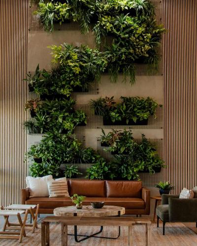 Brut Hotel