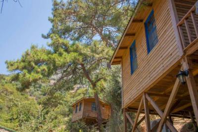 Gunes Holiday
