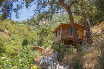 Gunes Holiday