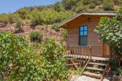 Gunes Holiday