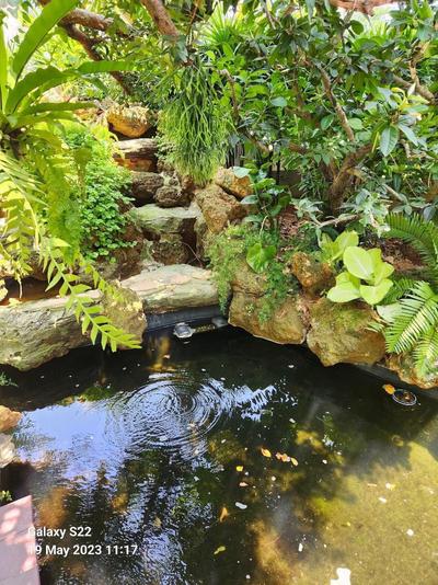 Baan Nern Khao Resort