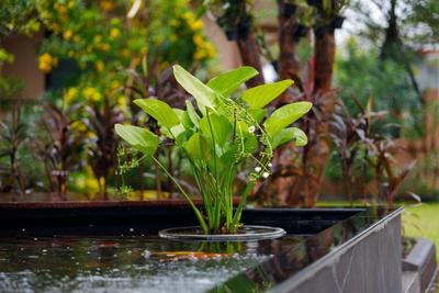 Baan Nern Khao Resort
