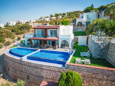 Bodrum Bargilya Villalari