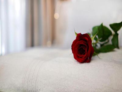 Petit Palace Suites Hotel