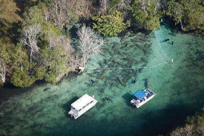 Plantation Resort on Crystal River