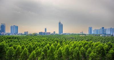 Wyndham Jomtien Pattaya