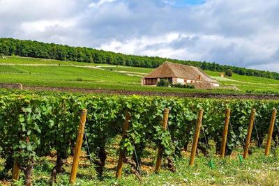 Voco Beaune