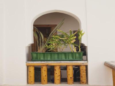 Riad Mama Square