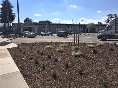 Best Western Town & Country Hotel
