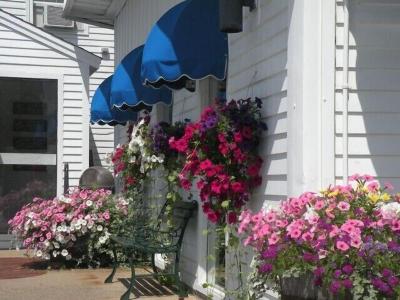 Yankee Clipper Inn SureStay Collection by BestWest