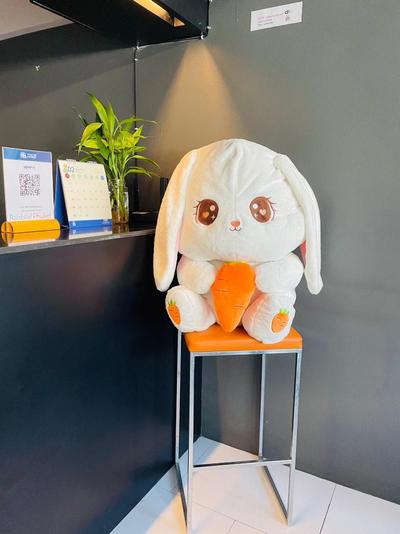 Rabbitel Phuket