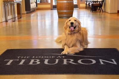 The Lodge at Tiburon