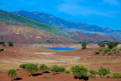 Les Jardins Yasmina