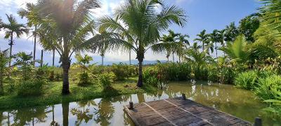 Le Cocotier Resort