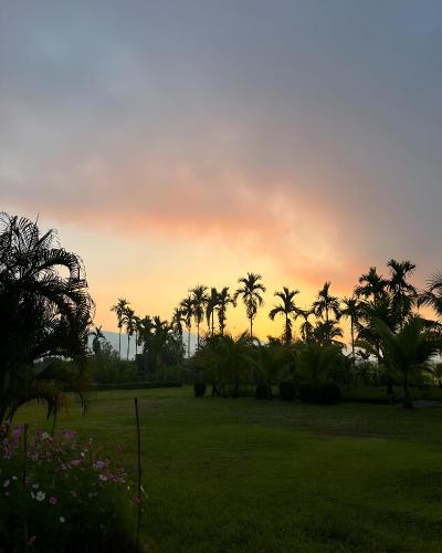 Le Cocotier Resort
