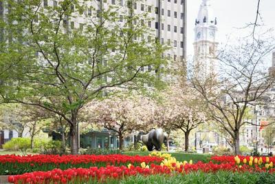 Loews Philadelphia