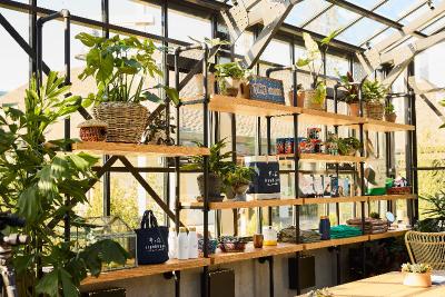 Treehouse Hotel Silicon Valley