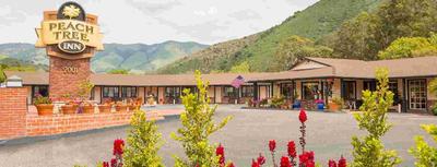 Peach Tree Inn