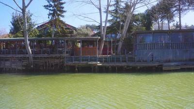 Treetops Park Hotel