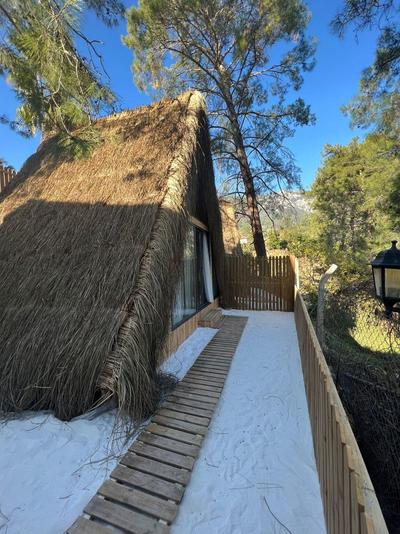 Cirali The Hill Glamping