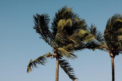 Beachside Resort & Residences Key West