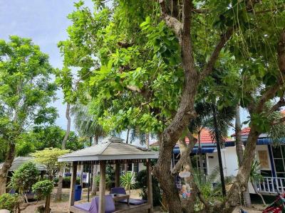The Light House Resort Kohlarn