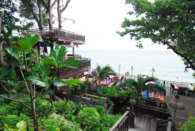 Birds and Bees Resort 