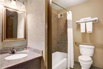 Ramada by Wyndham Houston Intercontinental Airpt S