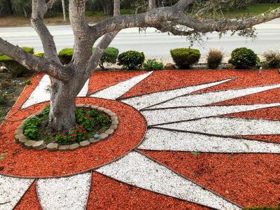 Americas Best Value Presidents Inn on Munras