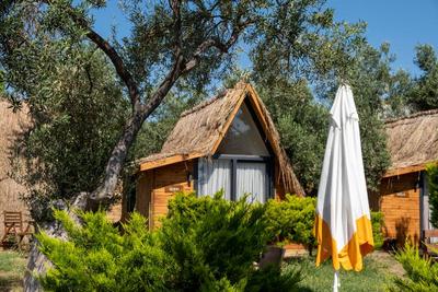 Concept Bungalow