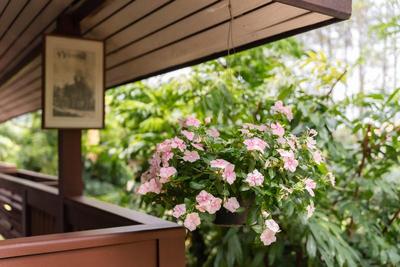Guru Resort Chiang Mai By Zuzu