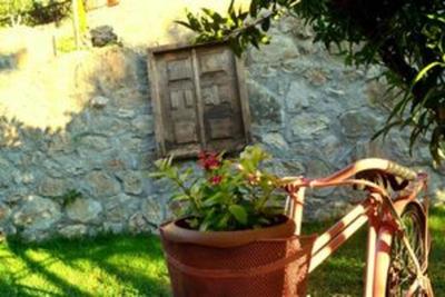 Faralya Misafir Evi