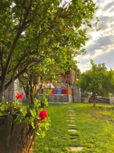 Faralya Misafir Evi