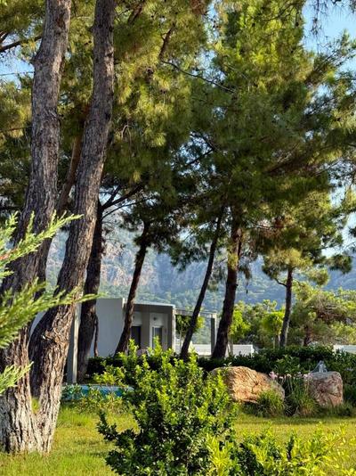 Z-villas Beach Hotel