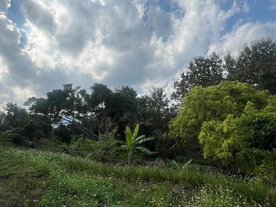 Pai Hillside Resort By Zuzu