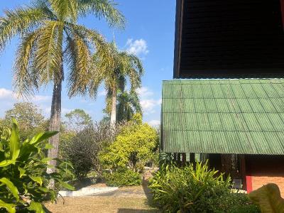 Pai Hillside Resort By Zuzu