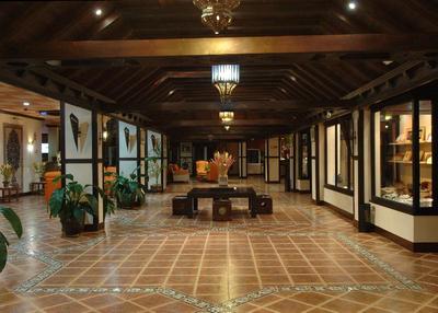 Hotel Wellness Marbella Hills