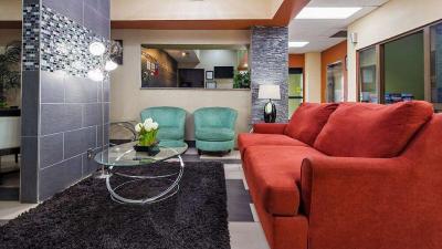Stay Sure Inn