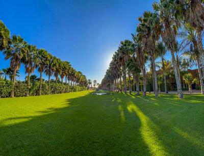Le Domaine Limoune